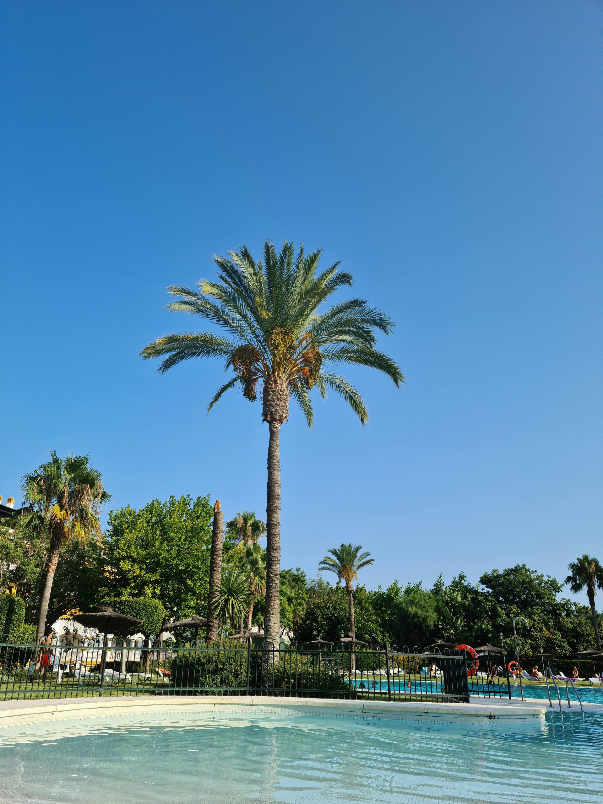 Are You Paying Too Much for an Old Pool Phone Landline?